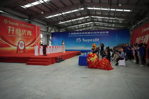 外商加大在奉贤投资力度，隆福拉索新工厂开业带动区域经济