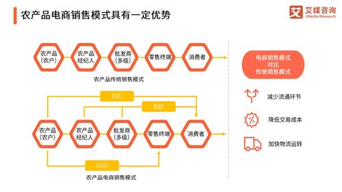 2021年中国农产品电商发展报告 产业升级与投资机遇分析