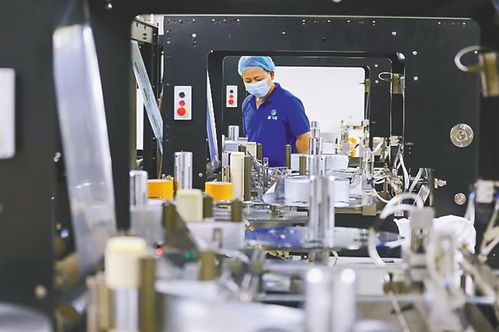 共享定安新机遇，投资兴业正当时 专业投资咨询助力您的成功之路